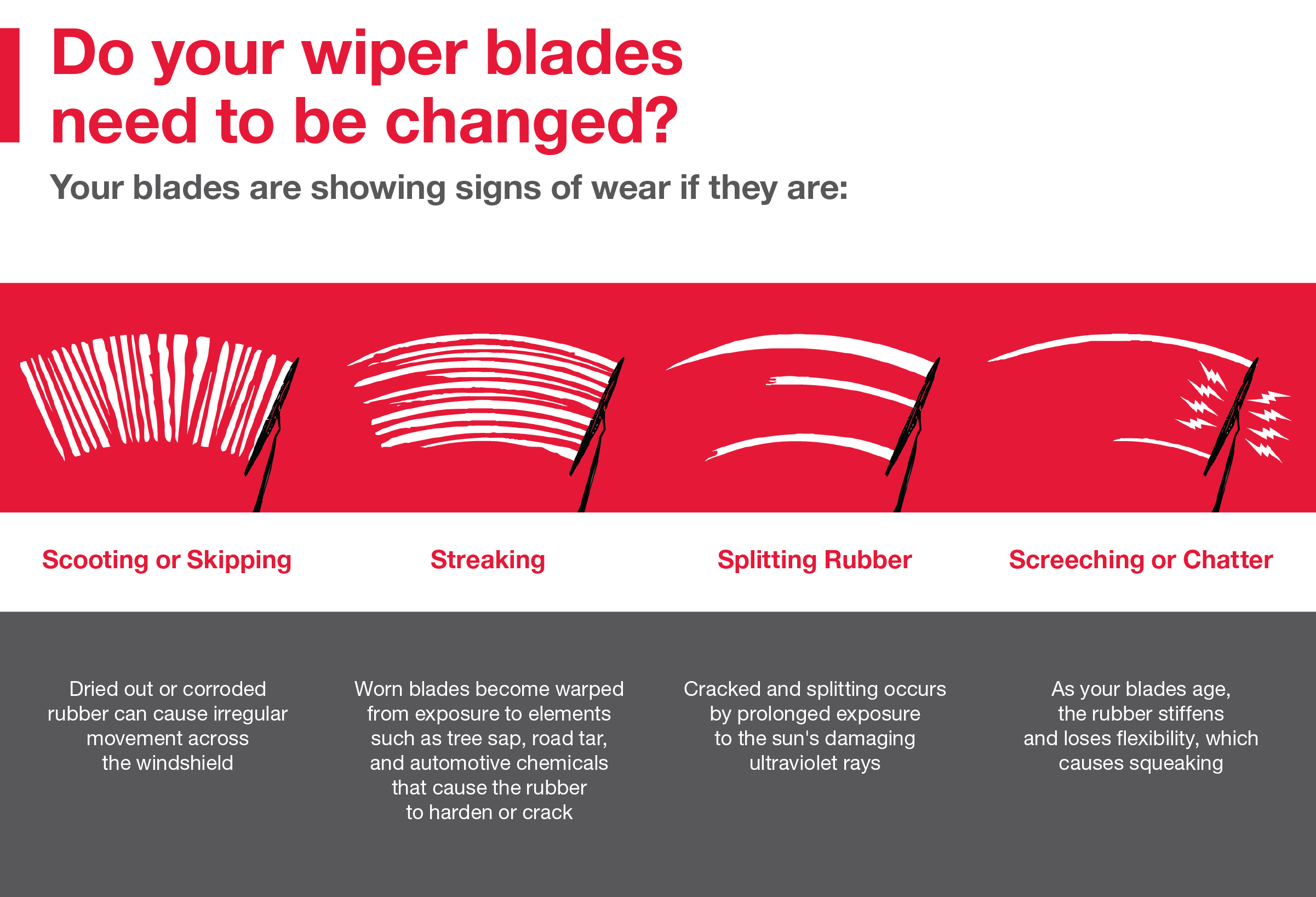 Do your wiper blades need to be changed | Peppers Toyota in Paris TN