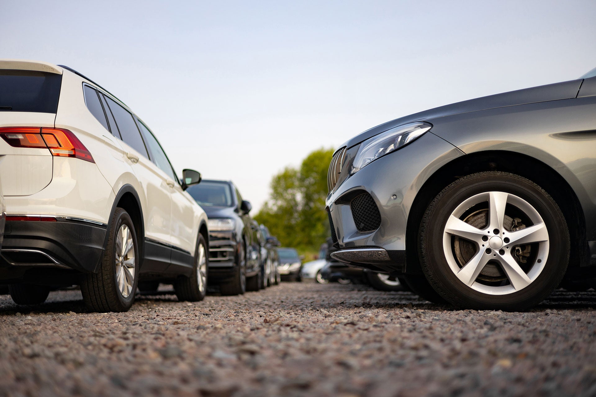 Rows of cars parked on a gravel car lot.